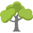 Collierville Tree Trimming