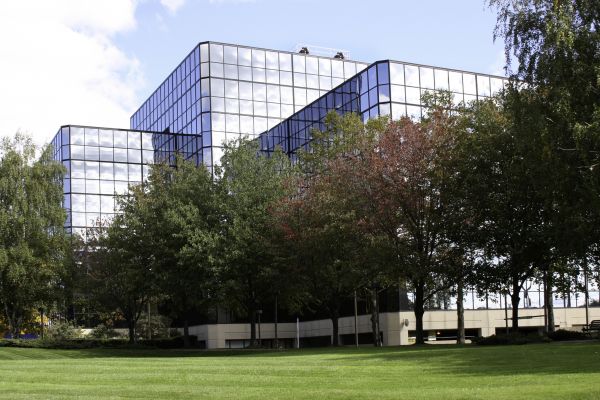 Commercial Tree Trimming in Collierville